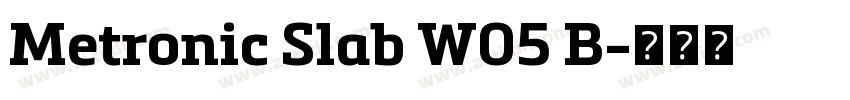 Metronic Slab W05 B字体转换